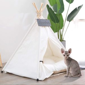 61fYDpel5bL._AC_SL1500_