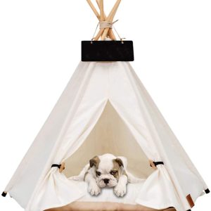 61hUMV1UjnL._AC_SL1500_