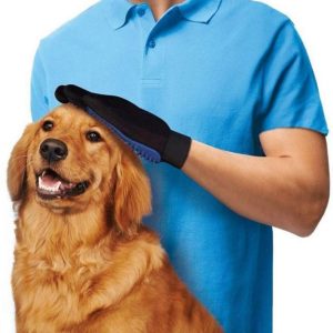 cqTcMK55yZTdY3ELFAeR6EgN32Ec1HbxVgZHnwbG