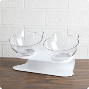 transparent-min_590x