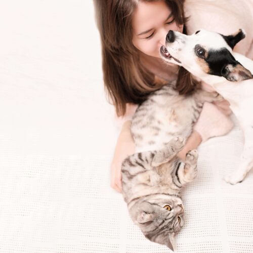 petzooo animalerie chat et chien-min (1)